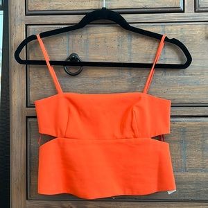 Zara cut out crop top
